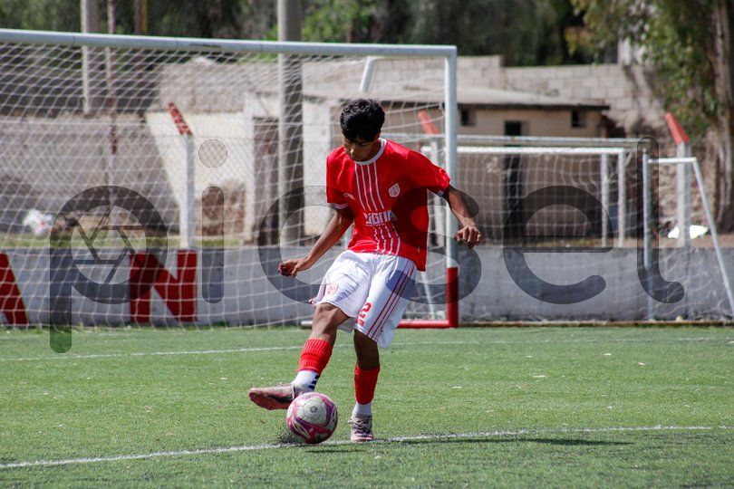 Photo of le1vk0s8rcpegaly8im0dzt1