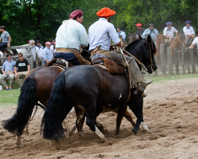 Tercio de final Rodeos Domingo 7.12.25 La Baguala