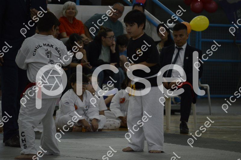 Photo of zcs9yrqq3alrvm26tlfaiela