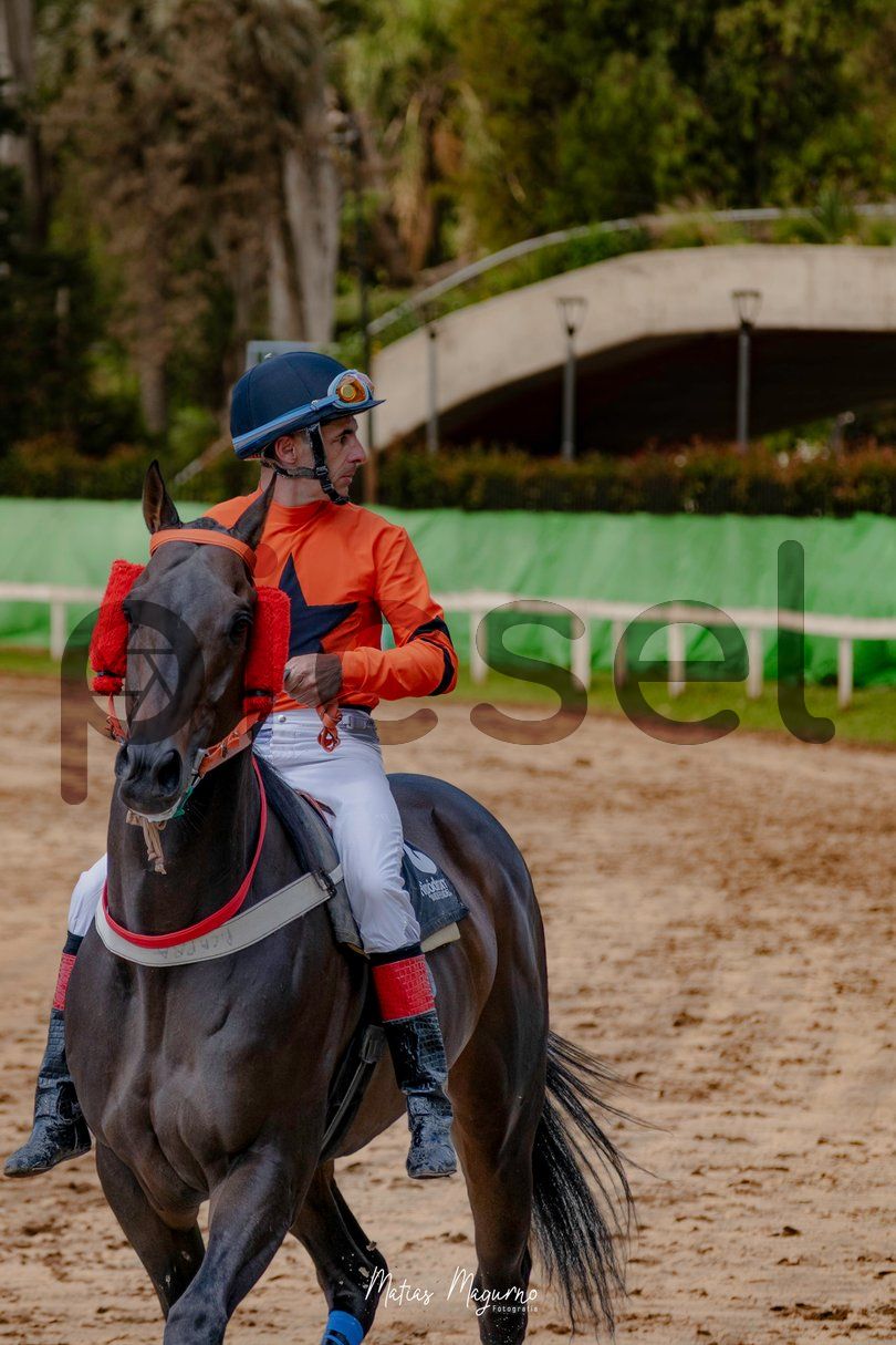 Photo of rfqsky7q62aah6vc5a3h1c25