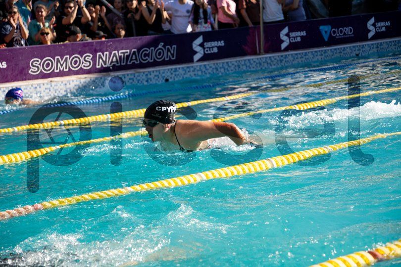 Photo of pemyv0j29gshwl8xr92ikxq8