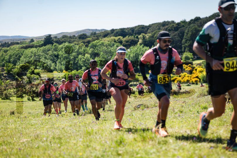 Photo of itox39hwwnk0hlx8o5lpcsrv