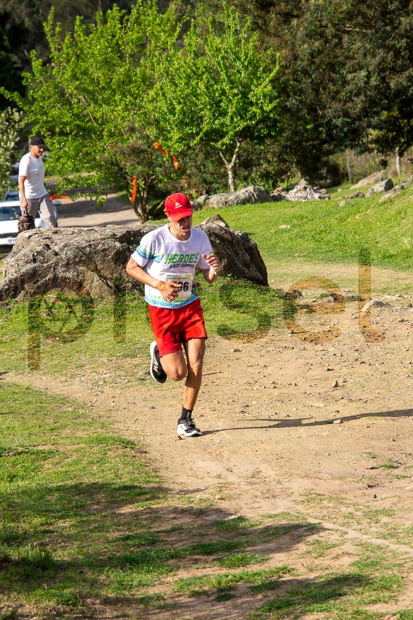 Photo of q28pw0yroip35o7t5vldjffp