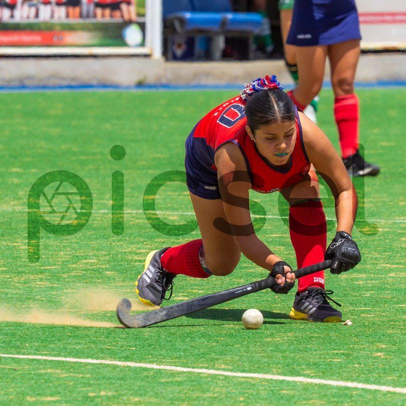 Photo of z0qr32dhm609b7lpf48w69dz