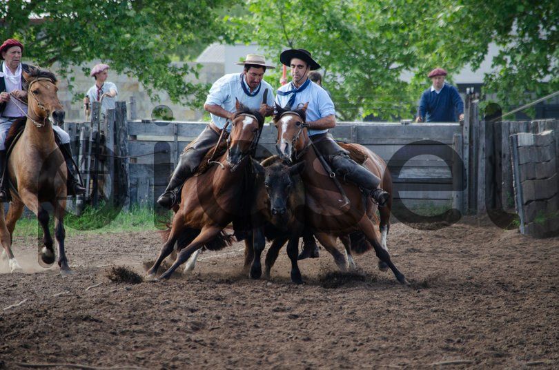 Photo of an068h417dpu0usznrowi40v