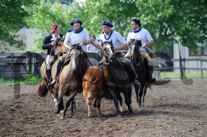 Photo of iu7ax0obv65qkf077ws7lic4