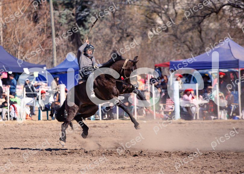 Photo of ut04zp2yxibxxedahl07hu39