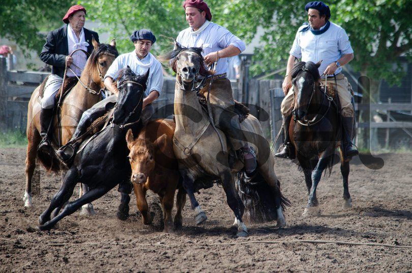 Photo of hjjsdlo721b97wqglo6x1yny