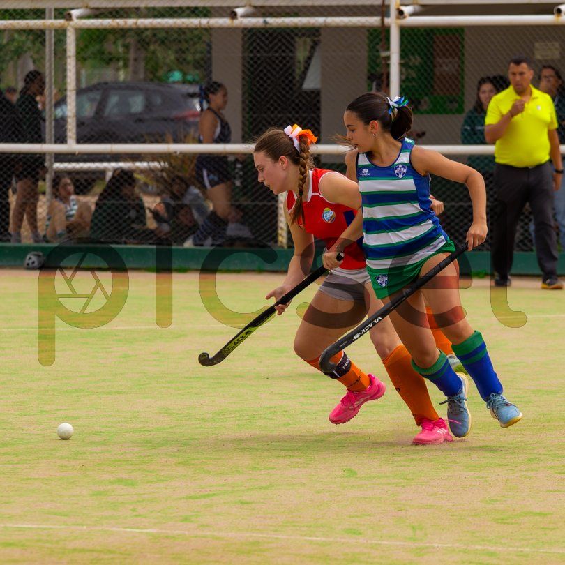 Photo of umv6ayeco8ellnjxjh9gflxk