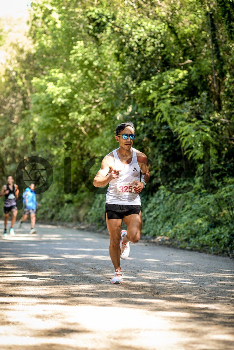 Photo of lnn4vzwae6pwzywu6o4ob39h