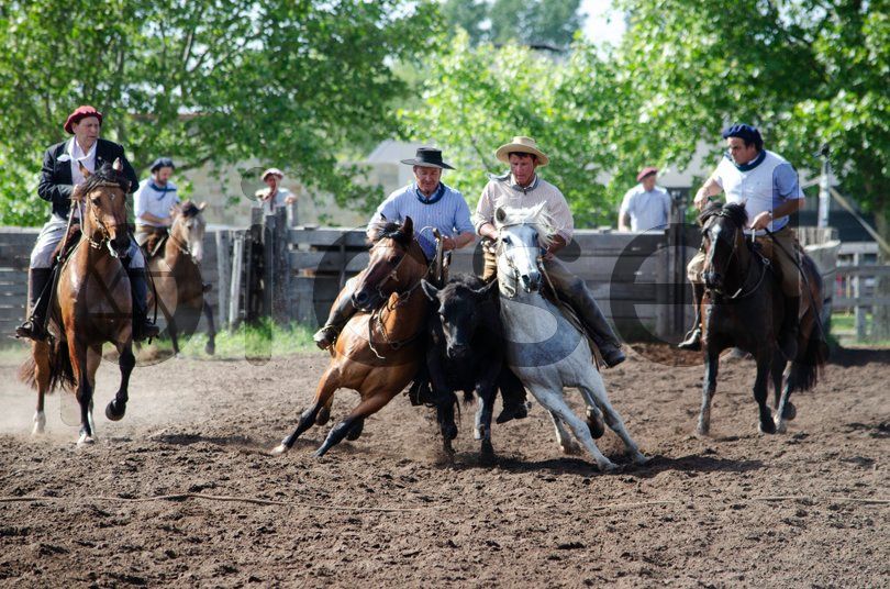 Photo of w63tt6ppi384mz915ono08gw