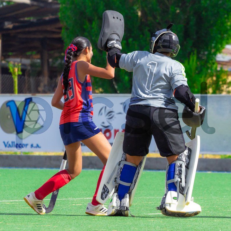 Photo of xwlu5a2j49jhulv86e7vf6dd