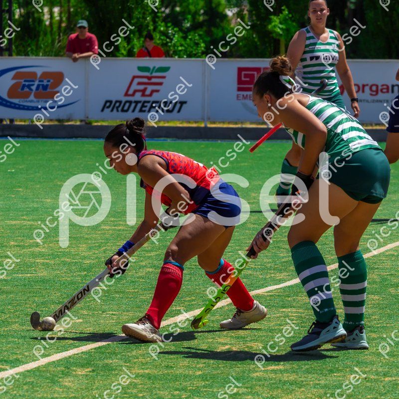 Photo of ayg3knoylm7lk2h7h9fkorz1