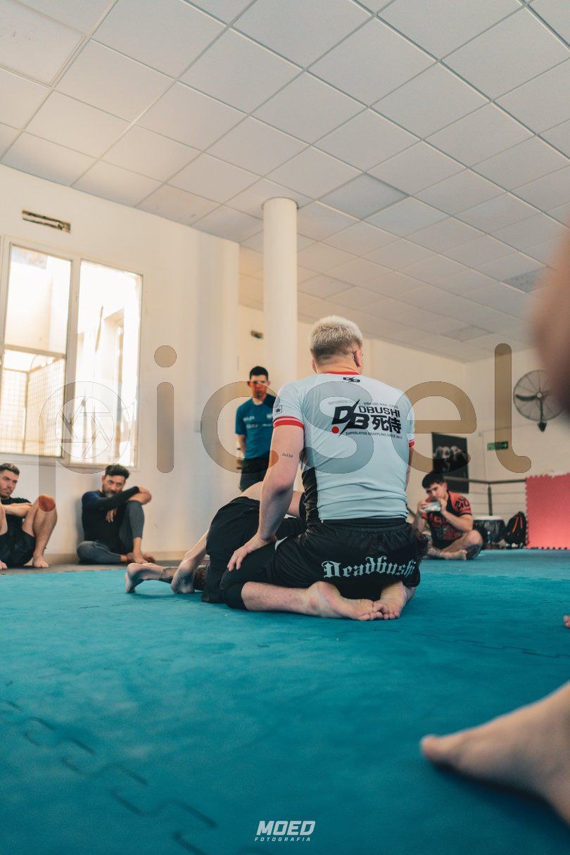 Photo of s45yk5fyjtft3o9dx5grbj83