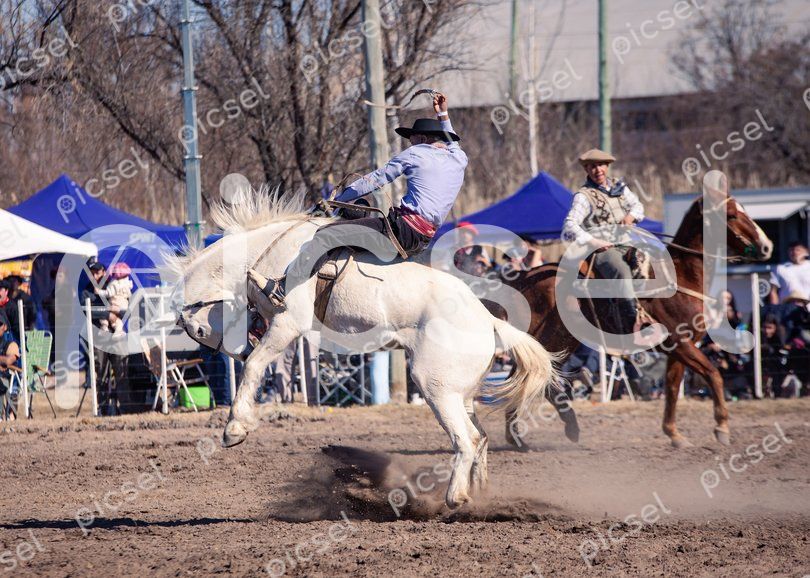 Photo of d2xr6sfz32fo0whlwwmpusfq