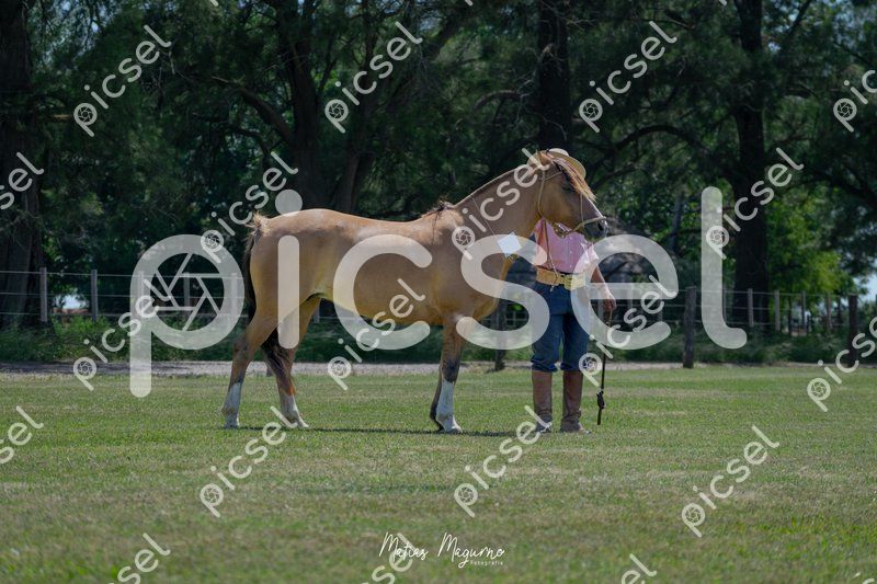 Photo of jhzf4wh0ibj08fnt83p7g1sm