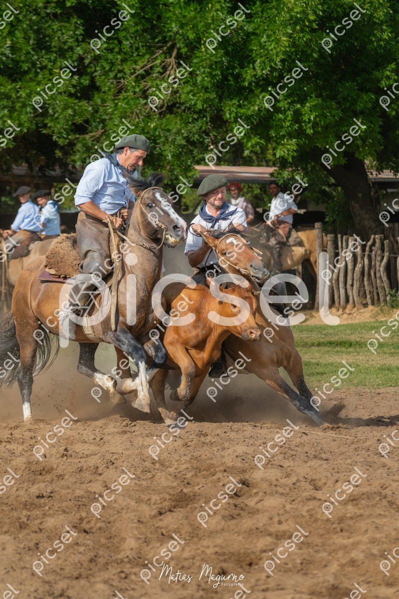 Photo of m46rvhdr70njm0e2p47plpj8