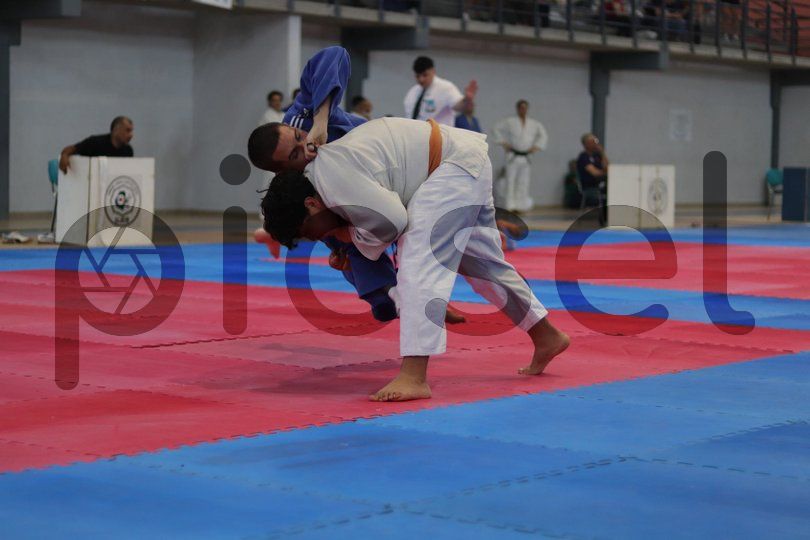 Photo of r9ei6a7frglk3irisxizulz1