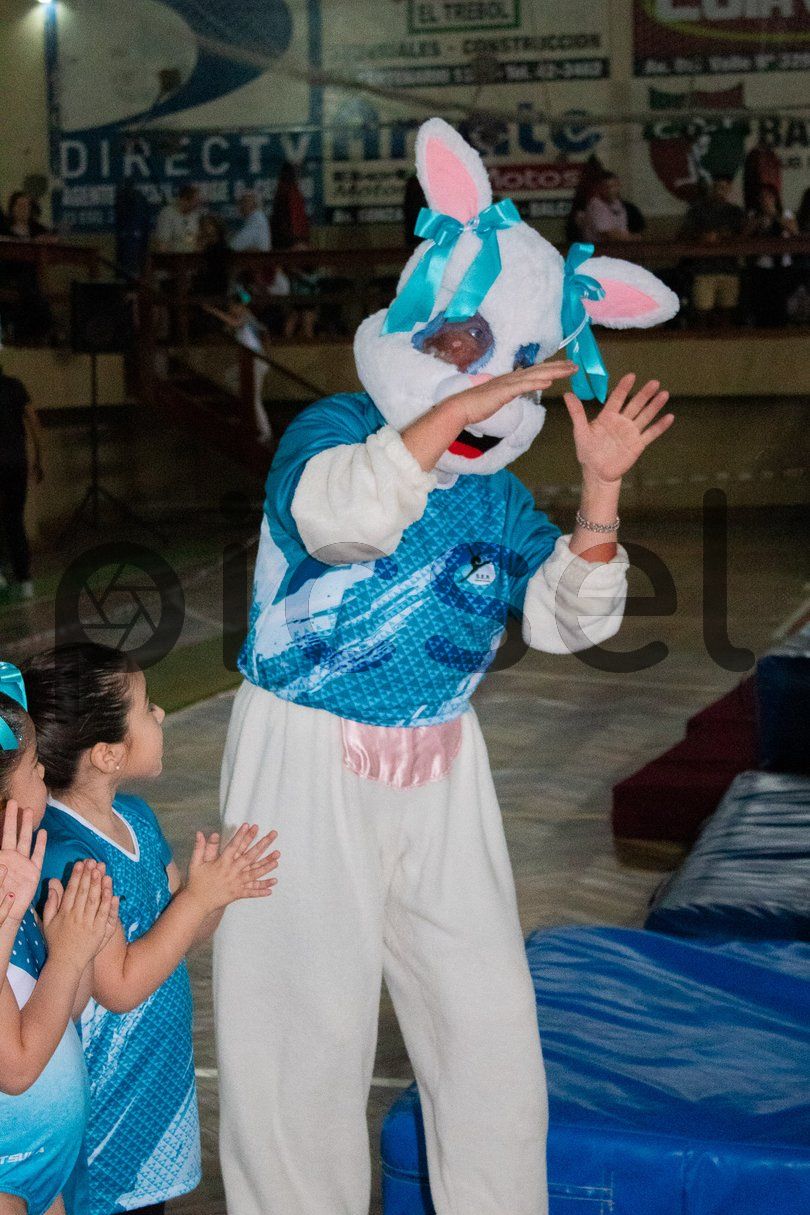 Photo of pet5xnohnhpye888er4jpm5o