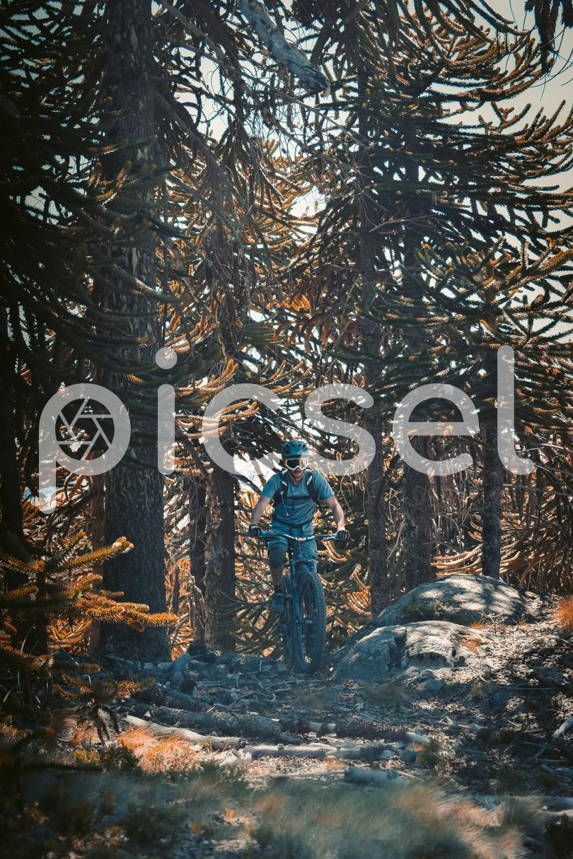 Photo of w2v4mssaugf16flxarzqoysx