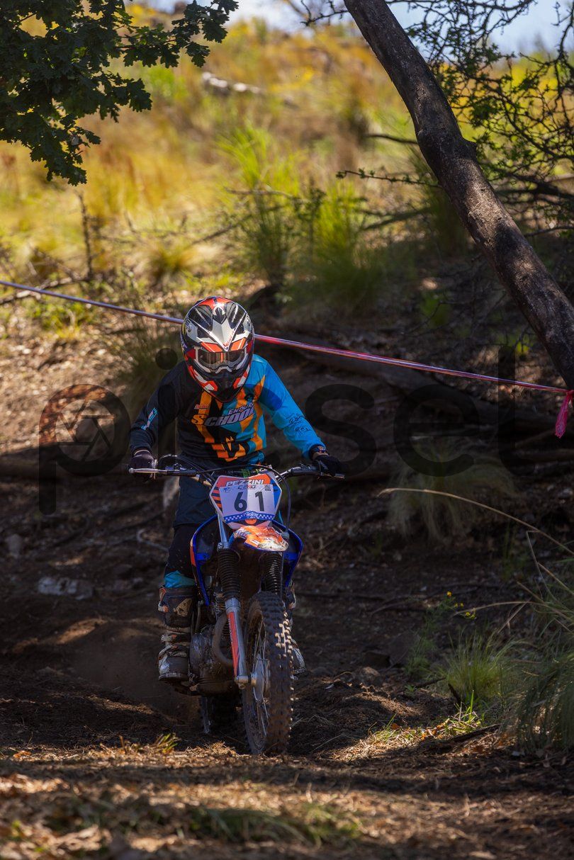 Photo of y4mz2dt0m44m892lylm2k0wv