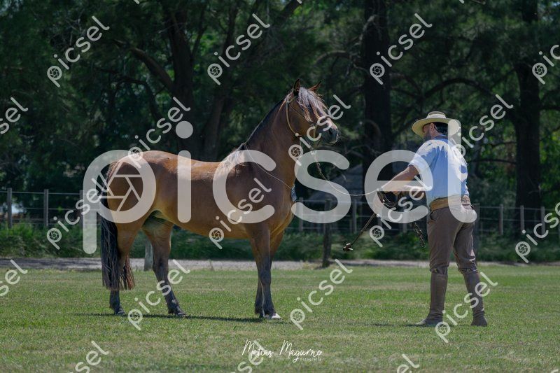 Photo of eg9y0revyerpqajobtfeyjrn