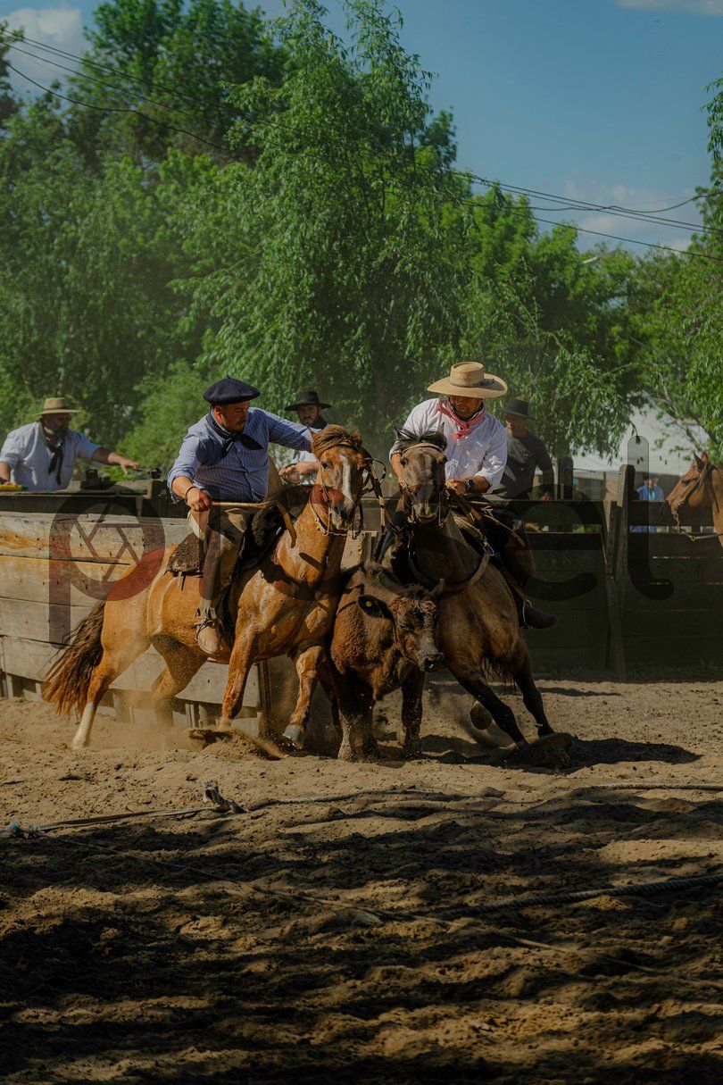 Photo of p48pm790vx27i7rx3yc0ssfj