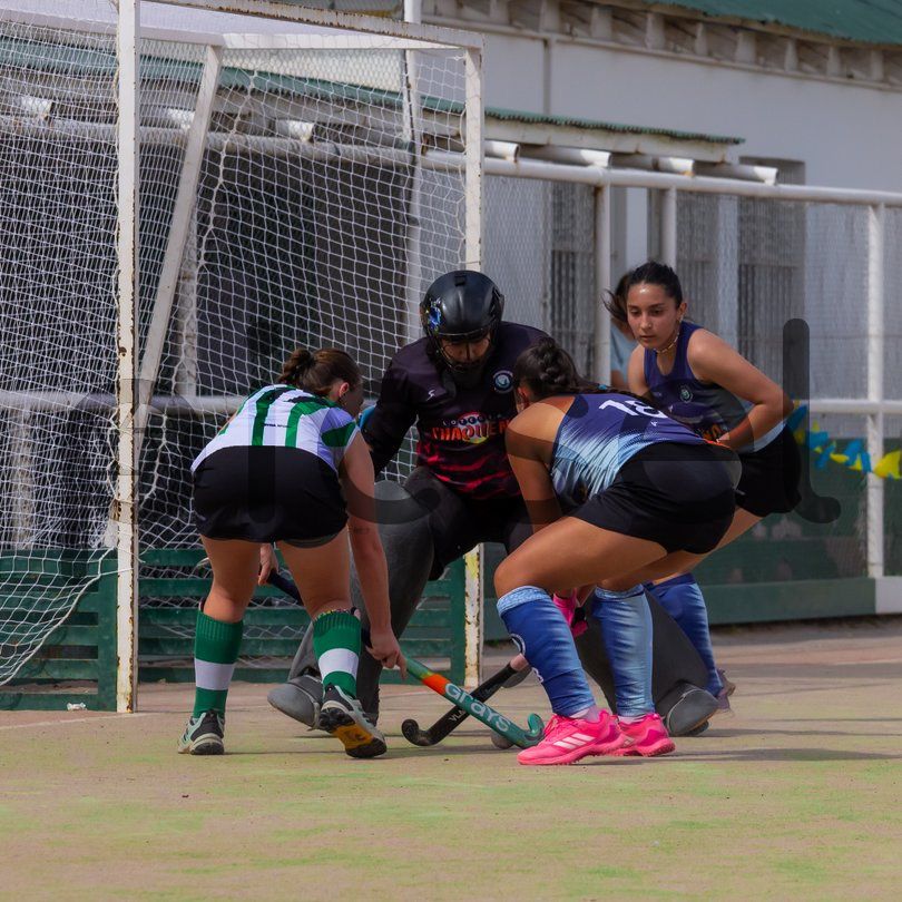 Photo of zos7gsdpkzsl9azk4hz1xpb5