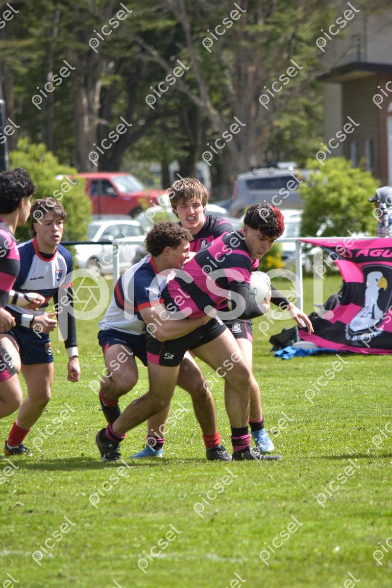 Photo of pb3qzbm8ndcujdebfzvtcys8