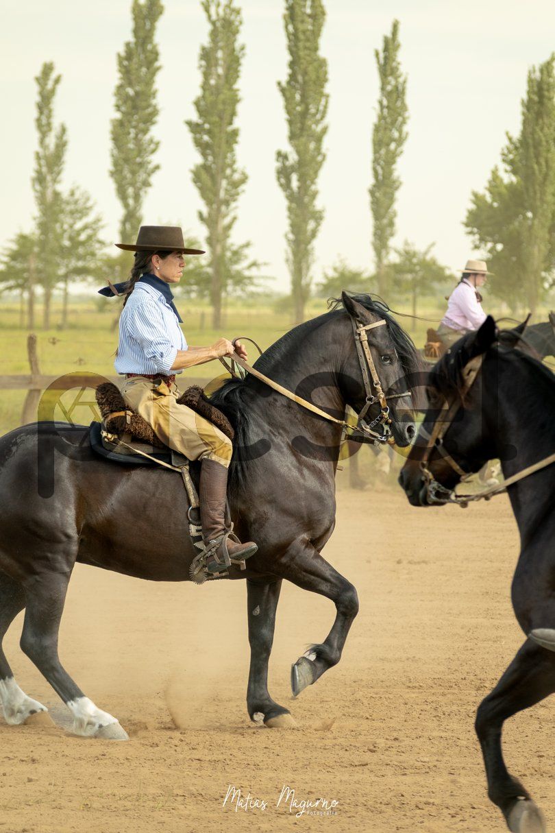 Photo of gaadrvq1hkwrbk7atxv4bs0s