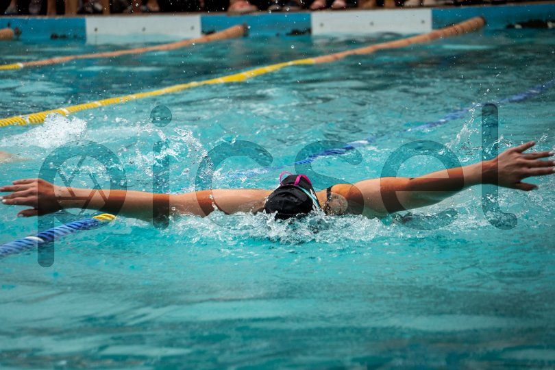 Photo of k2up8mrtsa63coc81ihw4w6q