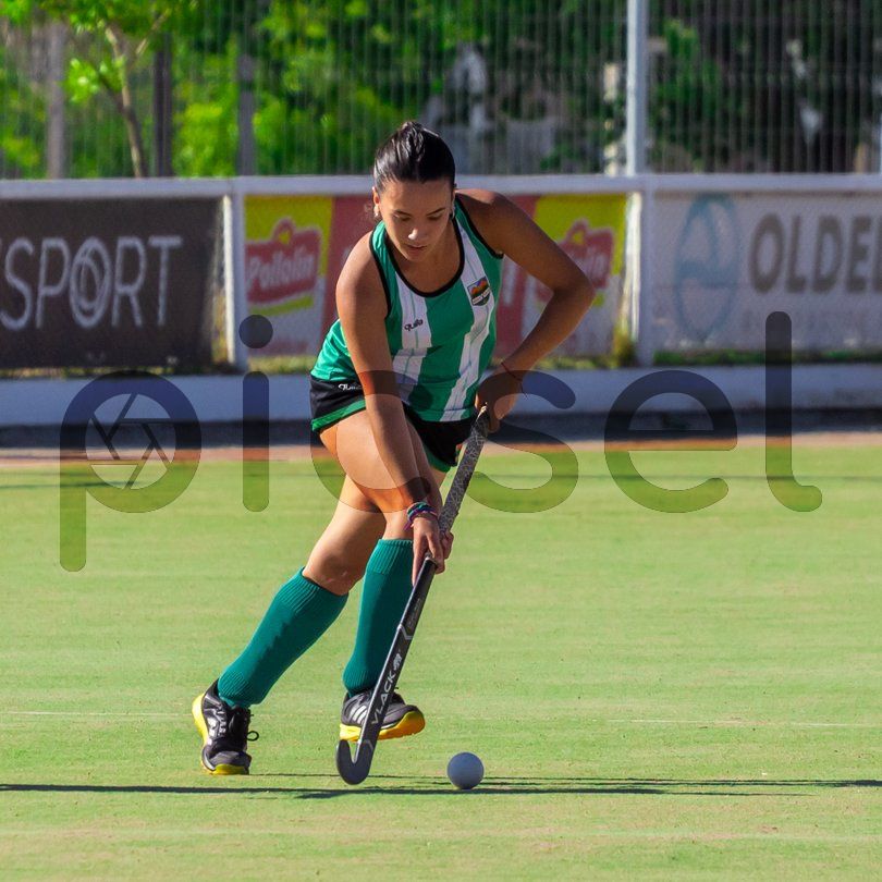 Photo of zmeto8sbaltqlqln33jl6s9t