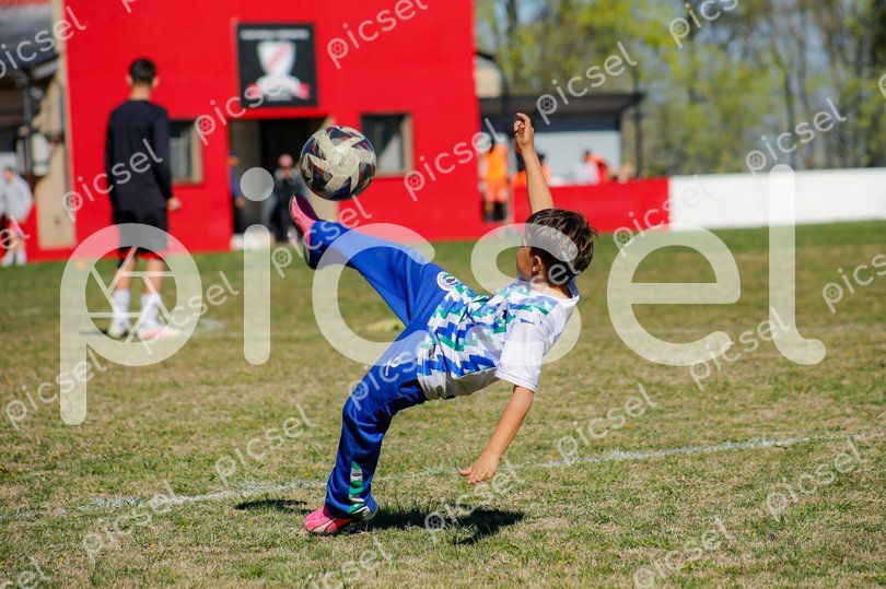 Photo of dhu25ugd2gu3fi014fmxgrsf