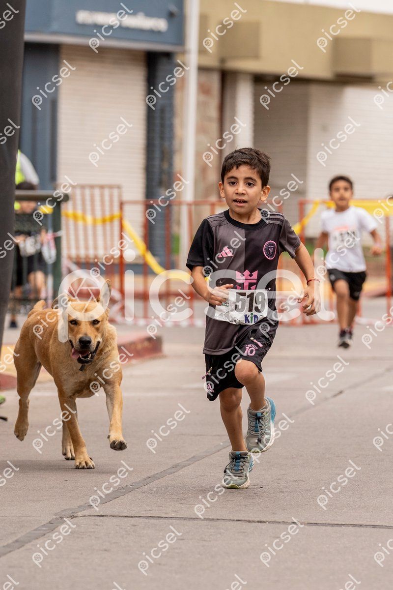 Photo of v238lv3molx0qphgub7lebnt