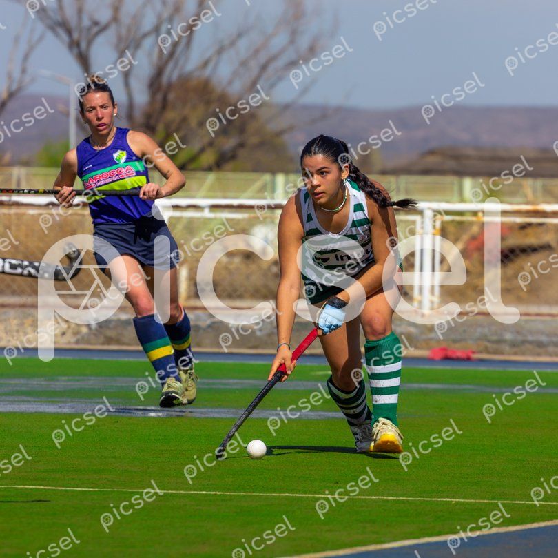 Photo of phx3mev7yyt10hqy7e4jrkb4