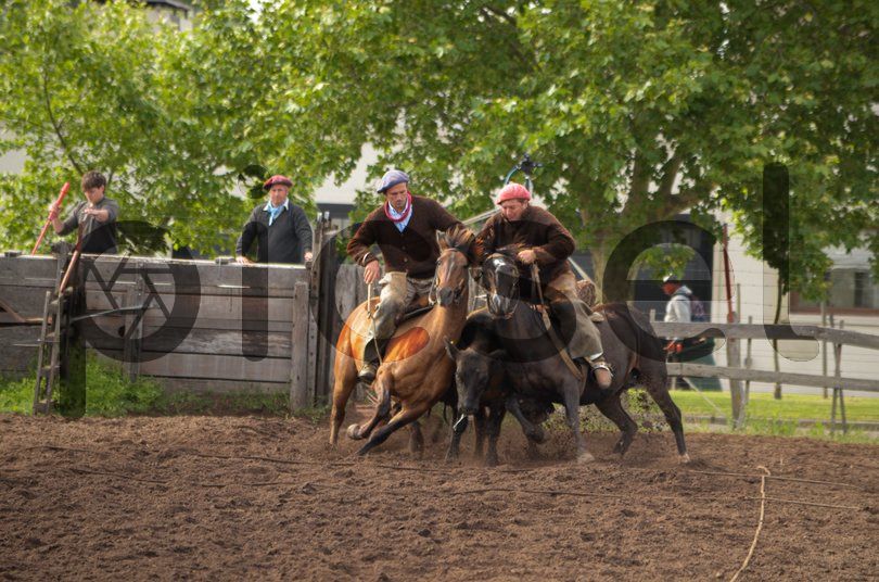 Photo of l9clcf79znlmriy3yicmlssr