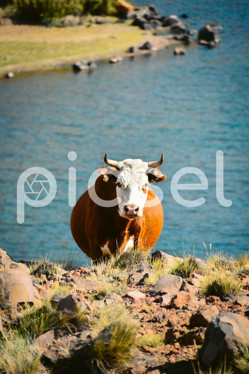Photo of b6wtpveu2doablak7ymyfw5t