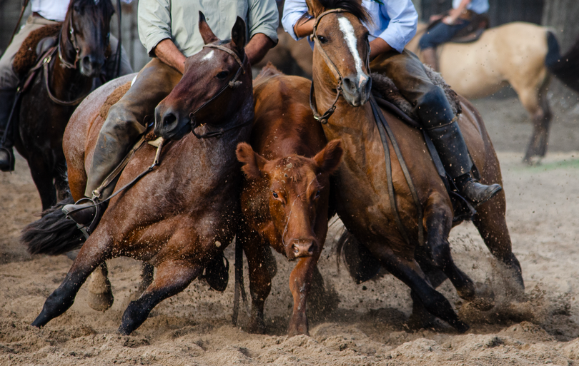 Semifinal Handicap Viernes La Baguala