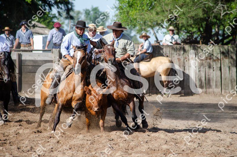 Photo of nf2rakx7lhm1w9ikw2balsmb