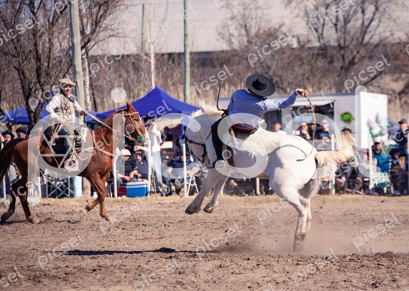 Photo of t14jx3mjvnttmm25fn0qfs60