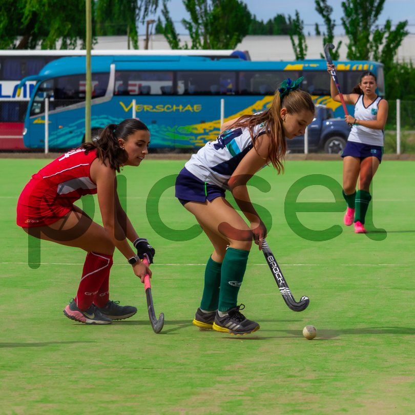 Photo of dr95m0msf7t7ehxjp3l1oo3a