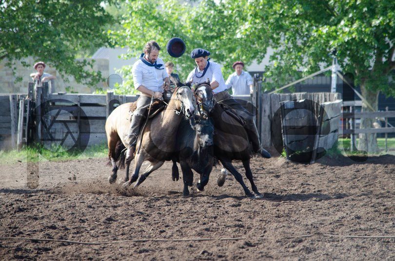 Photo of h4cpe4qmscgg7f9w34of75p7