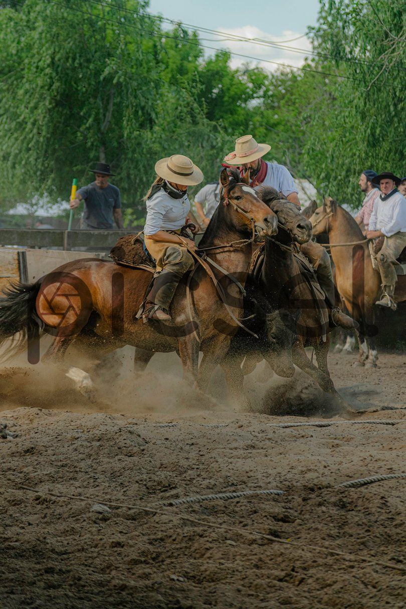 Photo of jkqvhak3nvez6ak8qqd35cvq