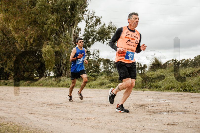 Photo of al2dn0ylwlivbigvwrrx2lr3