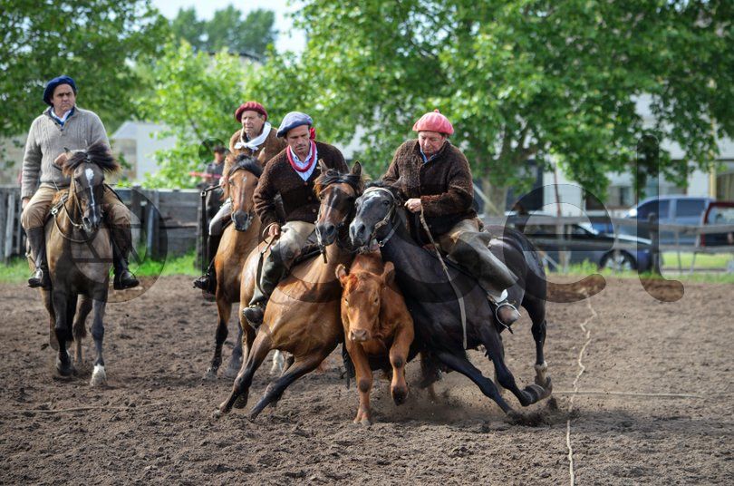 Photo of wba3e2cg6uvzte56e5m83nrc