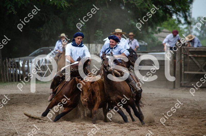 Photo of j8i7m2d8e85jvxdc1zv5ikwr