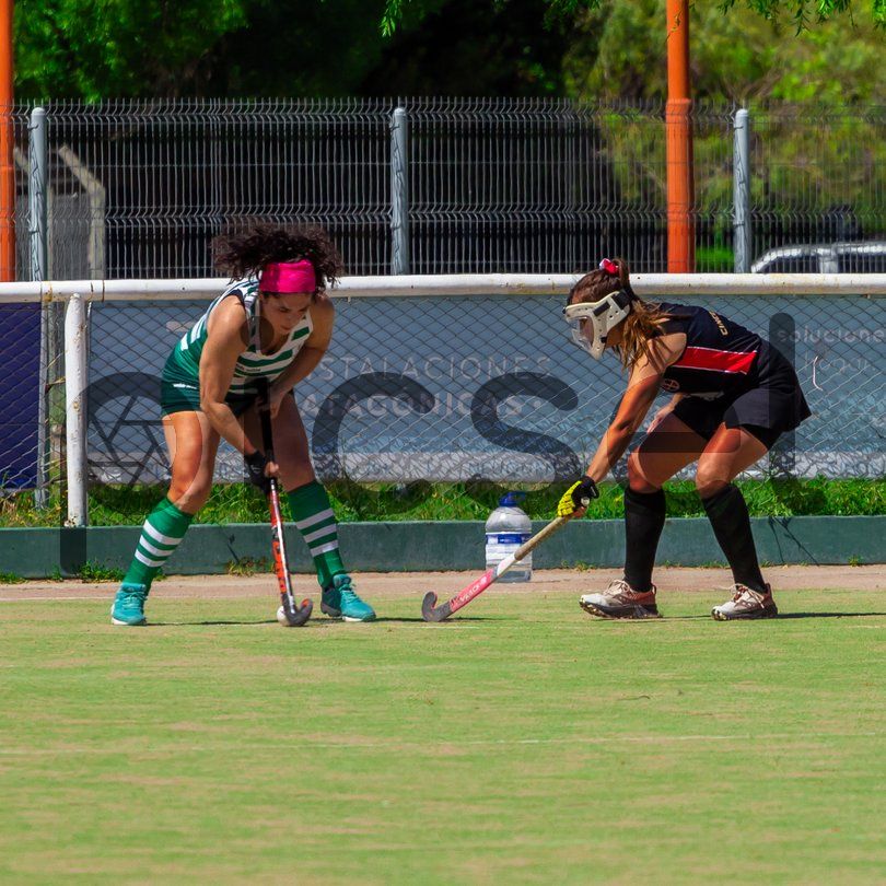 Photo of s4zomsllk3fpemlnj8std0m8