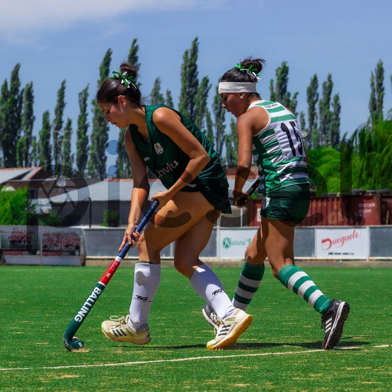 Photo of cqqmsxhugca1rh6pvu56yzmv