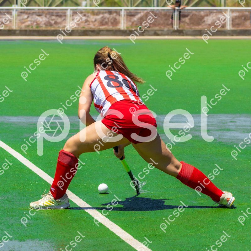 Photo of rhoxw117ht56rphcqqqsp161