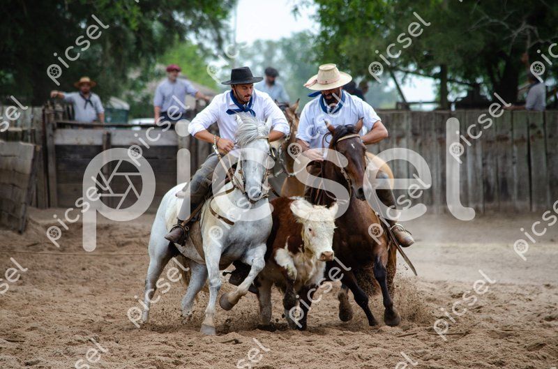 Photo of qdscprcgnhgkufz2pks4btum